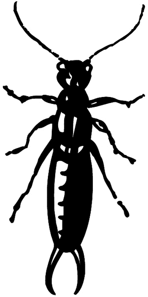 Beetle bug silhouette vinyl sticker. Customize on line.     Animals Insects Fish 004-0942  